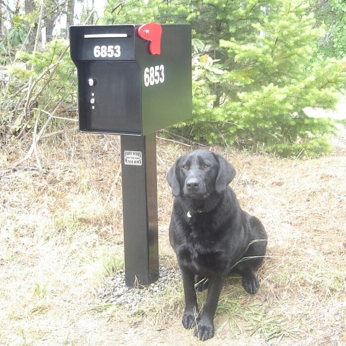 3" no-reflective mailbox